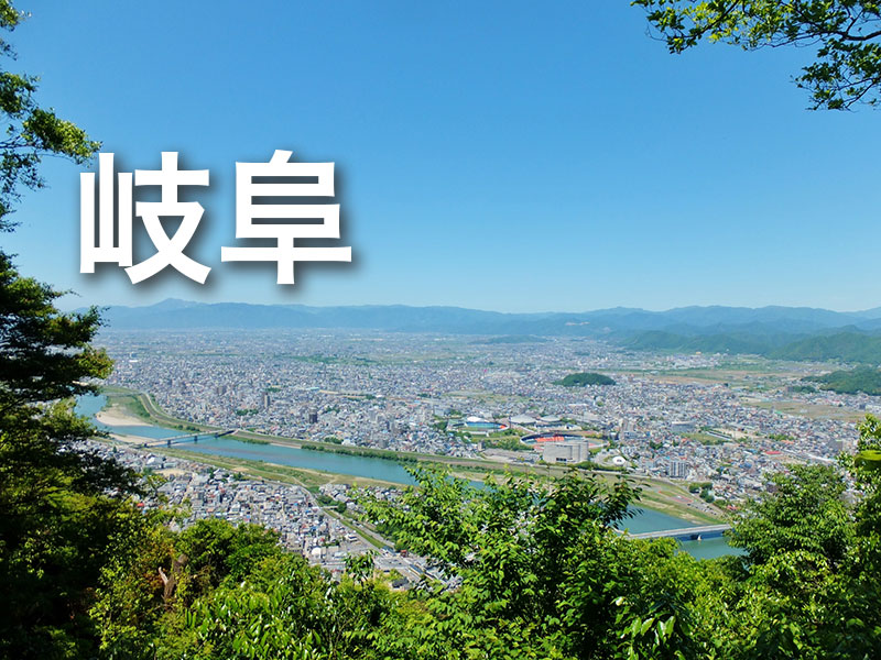 岐阜県のアダルトショップ