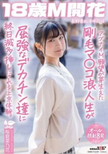 桜庭菜乃花のおすすめDVD